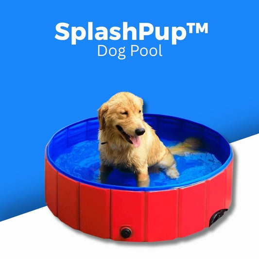 SplashPup™ - Fold, Fill, and Fun!