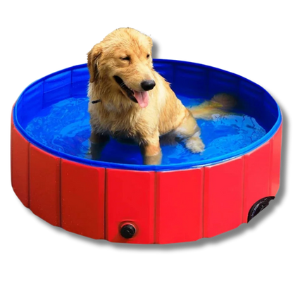 SplashPup™ - Fold, Fill, and Fun!